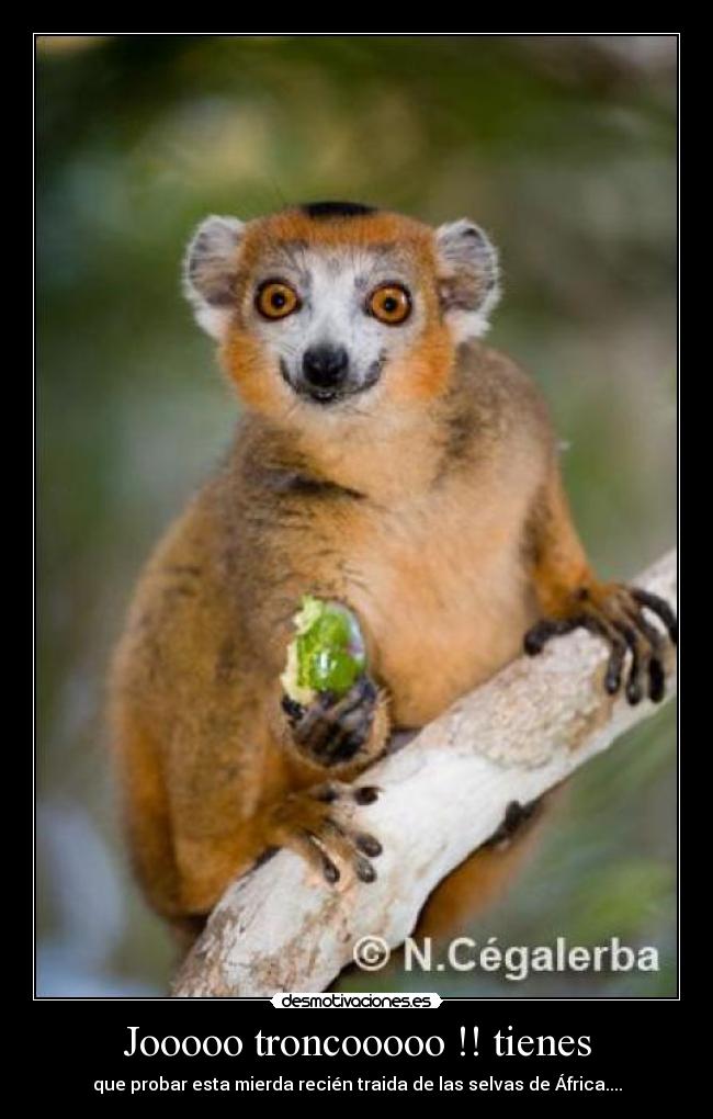 Jooooo troncooooo !! tienes -