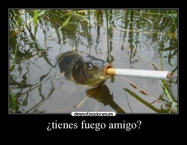 ¿tienes fuego amigo? - 