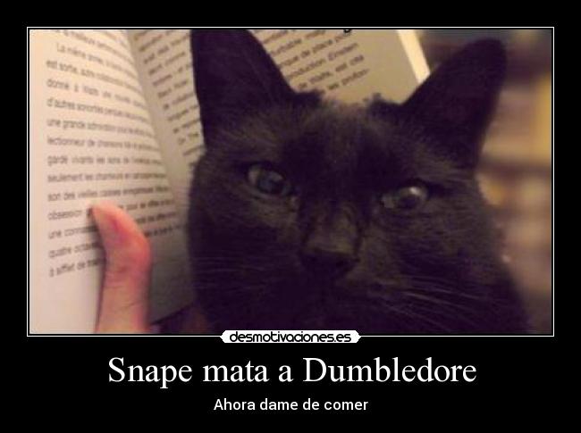 Snape mata a Dumbledore - 