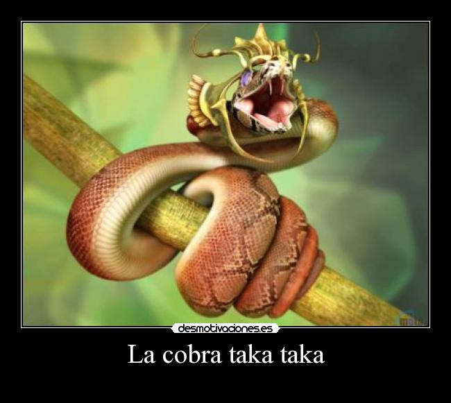 La cobra taka taka -
