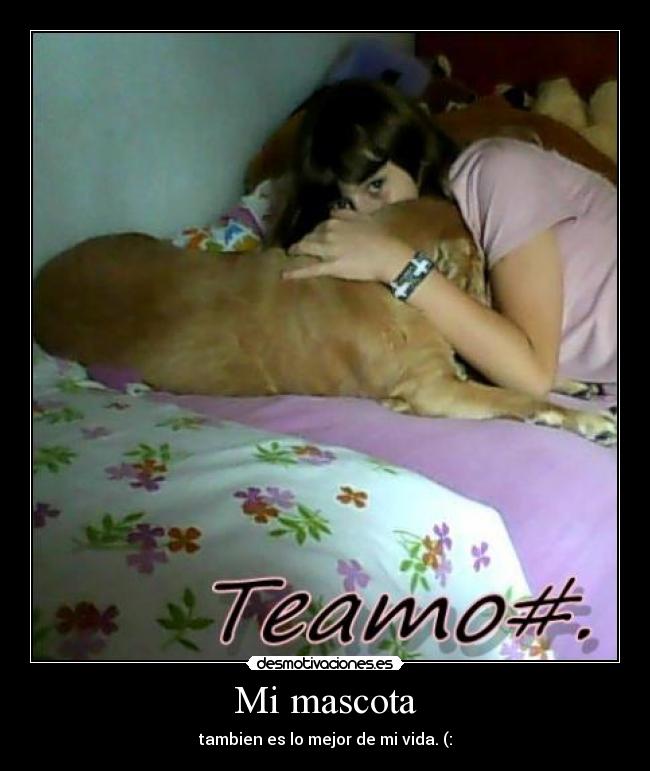 Mi mascota -
