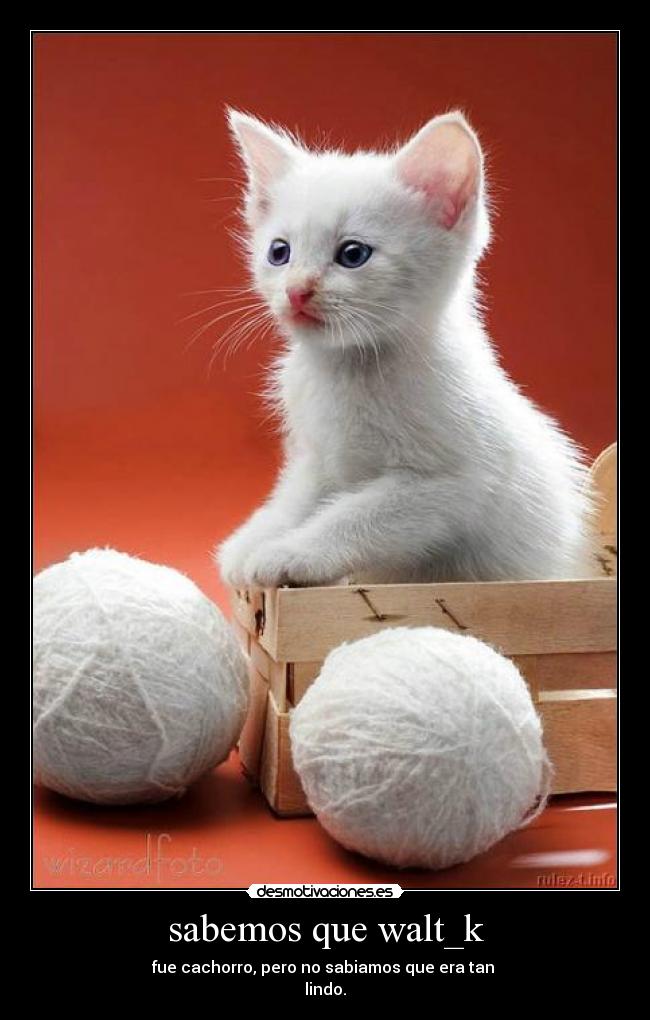 sabemos que walt_k - 