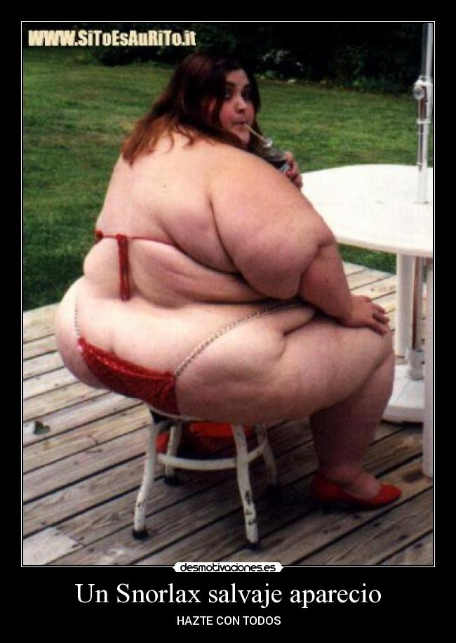 Un Snorlax salvaje aparecio - 