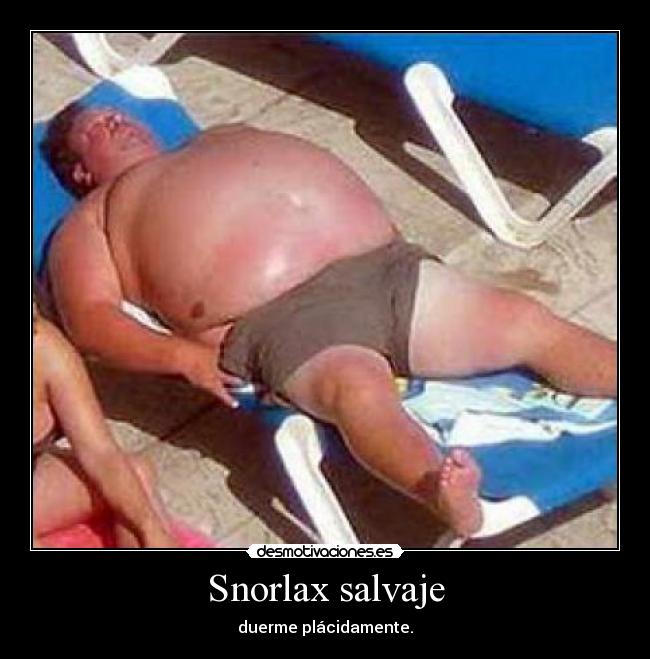 carteles snorlax desmotivaciones