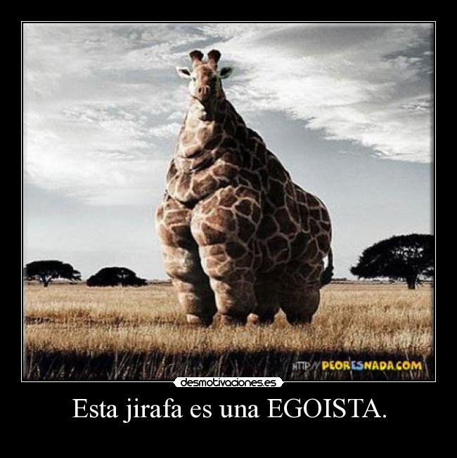 Esta jirafa es una EGOISTA. - 