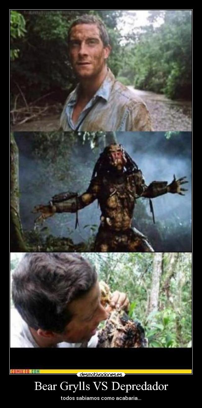 Bear Grylls VS Depredador - todos sabiamos como acabaria...
