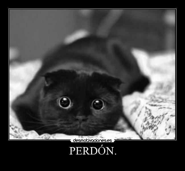 PERDÓN. -