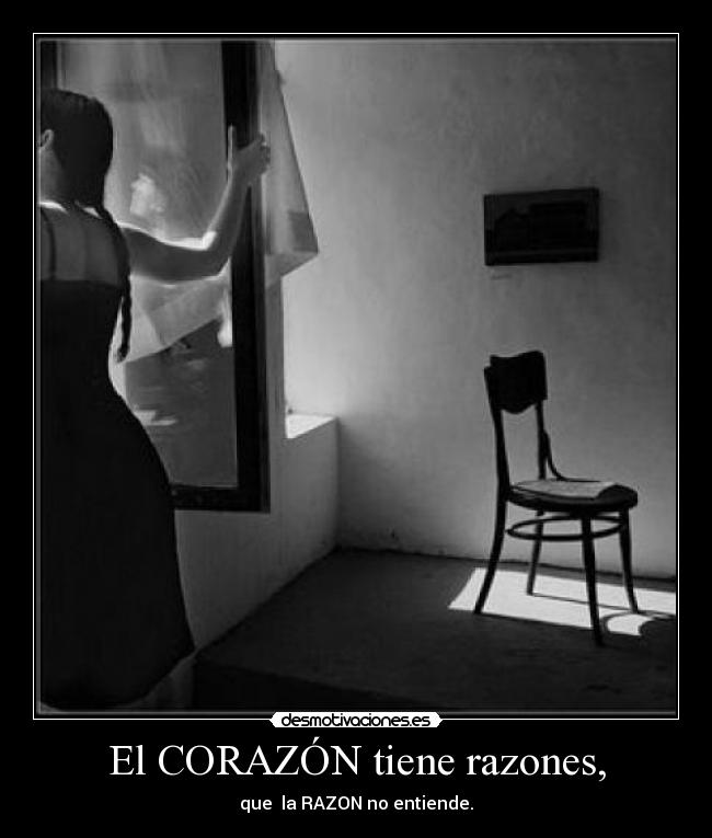 carteles corazon corazon desmotivaciones