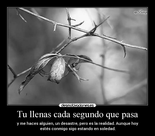 carteles soledad desastre desmotivaciones