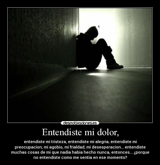 Entendiste mi dolor, - entendiste mi tristeza, entendiste mi alegria, entendiste mi
preocupacion, mi agobio, mi frialdad, mi desesperacion... entendiste
muchas cosas de mi que nadia habia hecho nunca, entonces... ¿porque
no entendiste como me sentia en ese momento?