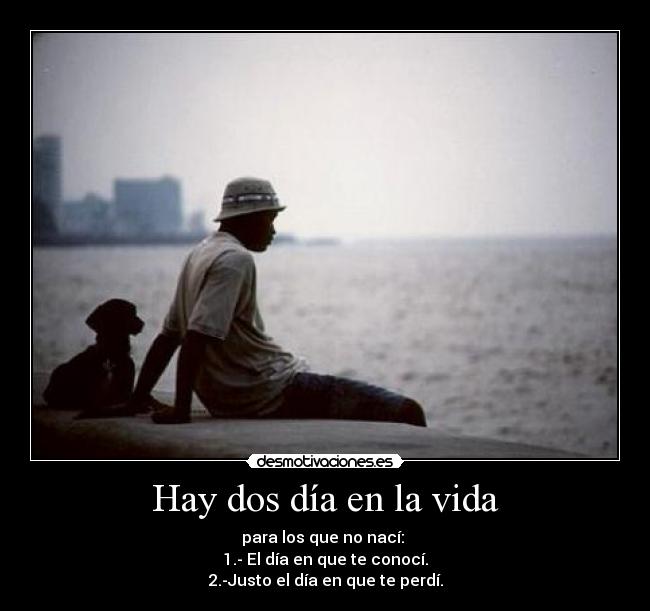 carteles vida dos dias desmotivaciones