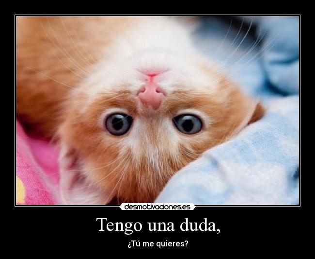Tengo una duda, - ¿Tú me quieres?