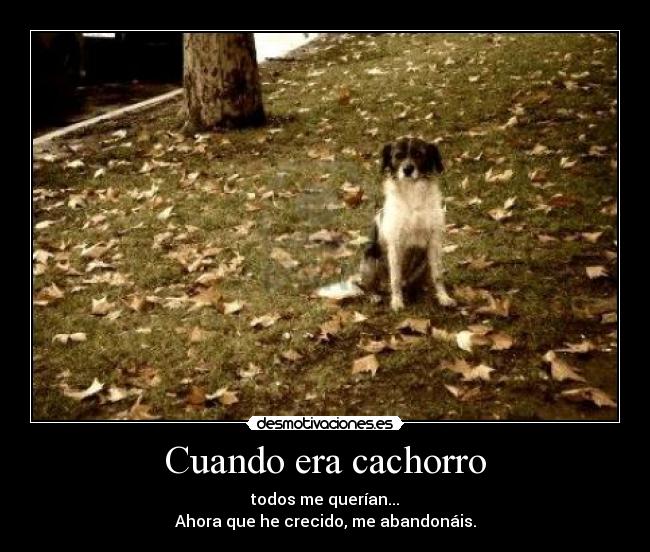 Cuando era cachorro - todos me querían...
Ahora que he crecido, me abandonáis.