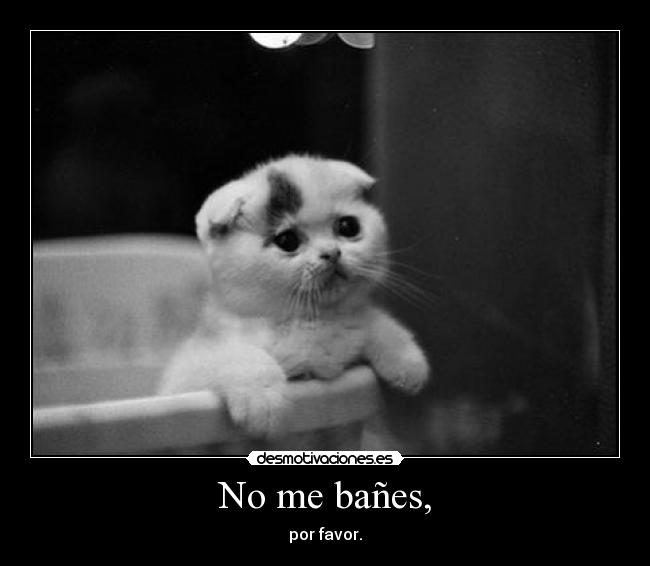 No me bañes, - por favor.