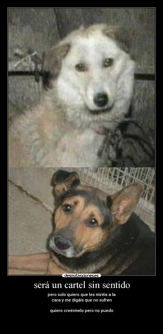 será un cartel sin sentido - pero solo quiero que les miréis a la
cara y me digáis que no sufren
quiero creérmelo pero no puedo