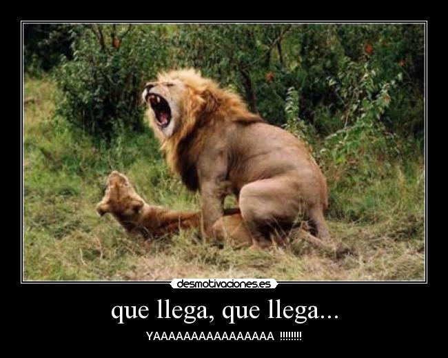 que llega, que llega... - 