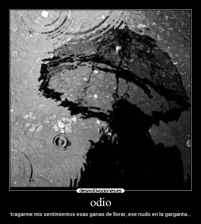 odio - tragarme mis sentimientos esas ganas de llorar, ese nudo en la garganta...