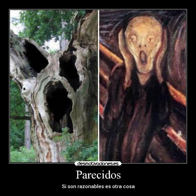 Parecidos -
