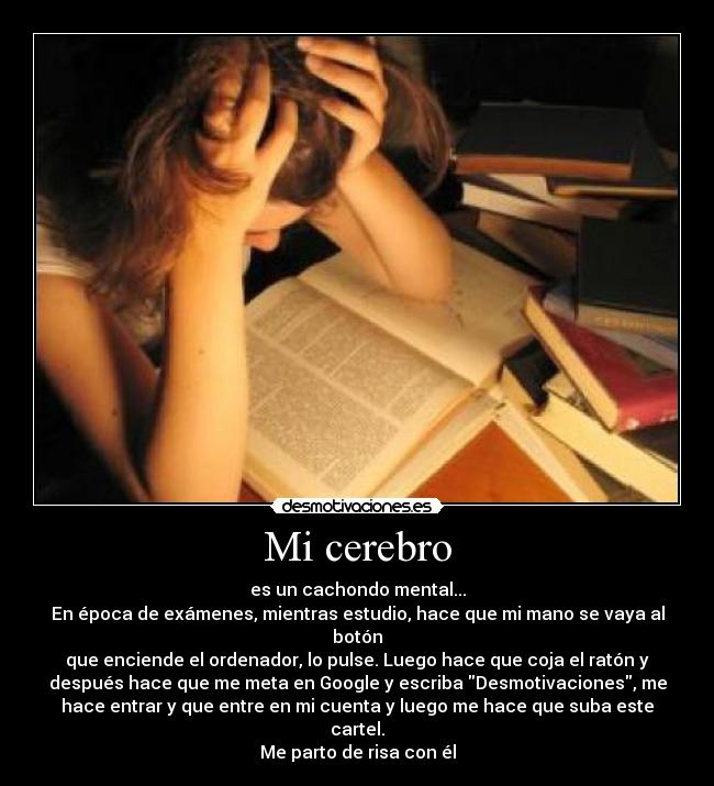 Mi cerebro - 