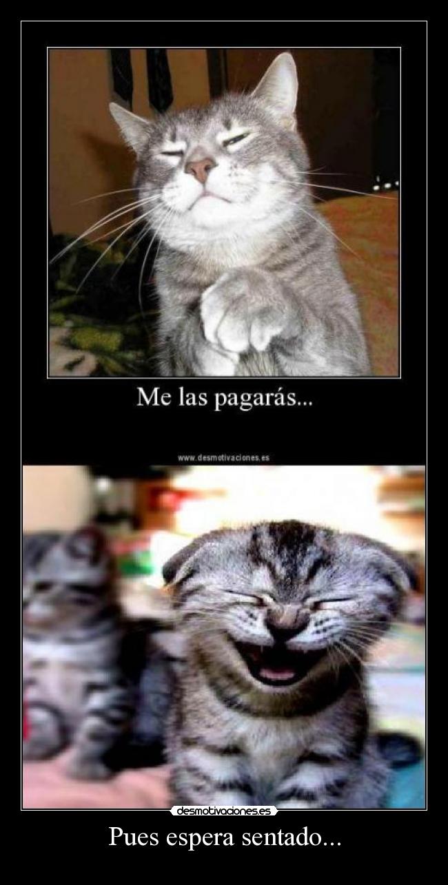 Pues espera sentado... - 