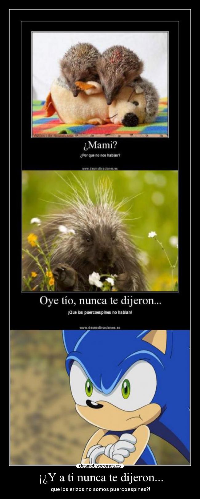 carteles sonic erizo puercoespin desmotivaciones