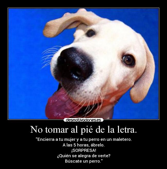 No tomar al pié de la letra. - 