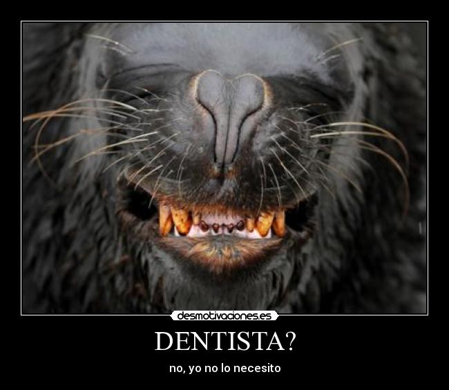 DENTISTA? - no, yo no lo necesito