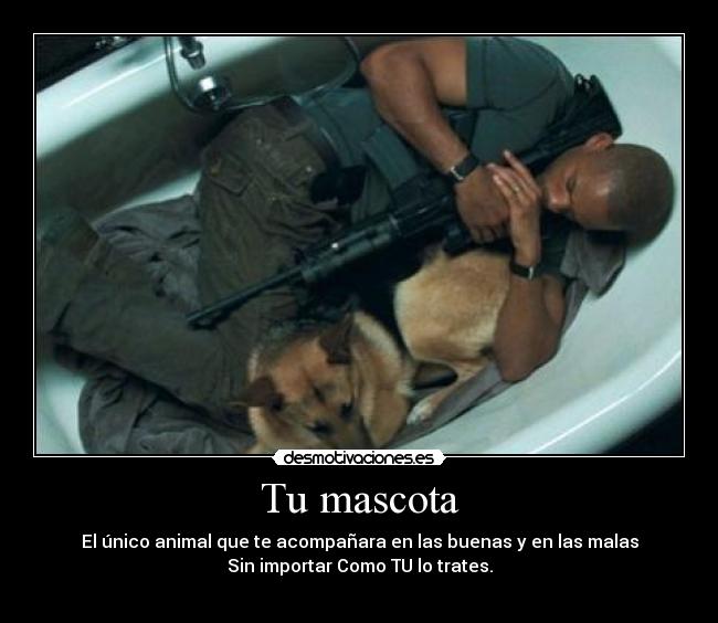 Tu mascota - El único animal que te acompañara en las buenas y en las malas
Sin importar Como TU lo trates.
