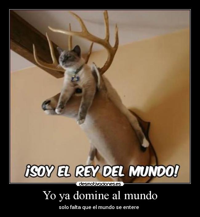 Yo ya domine al mundo -  solo falta que el mundo se entere   