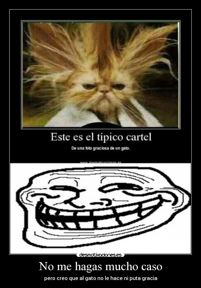 No me hagas mucho caso - 