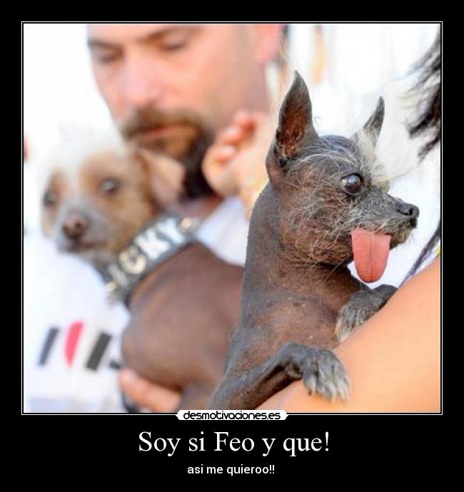 Soy si Feo y que! - 
