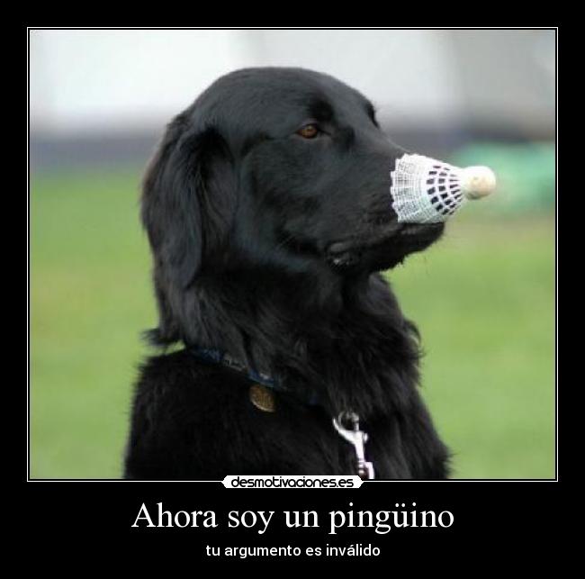 carteles perro pinguino argumento invalido desmotivaciones