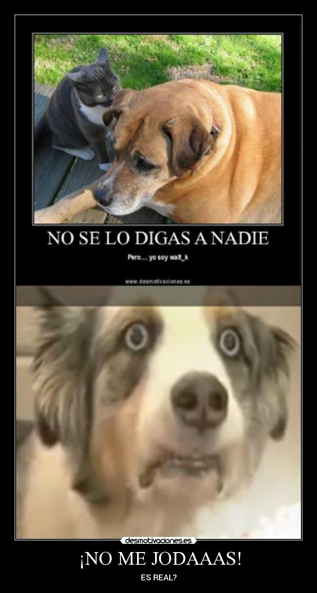 carteles  desmotivaciones