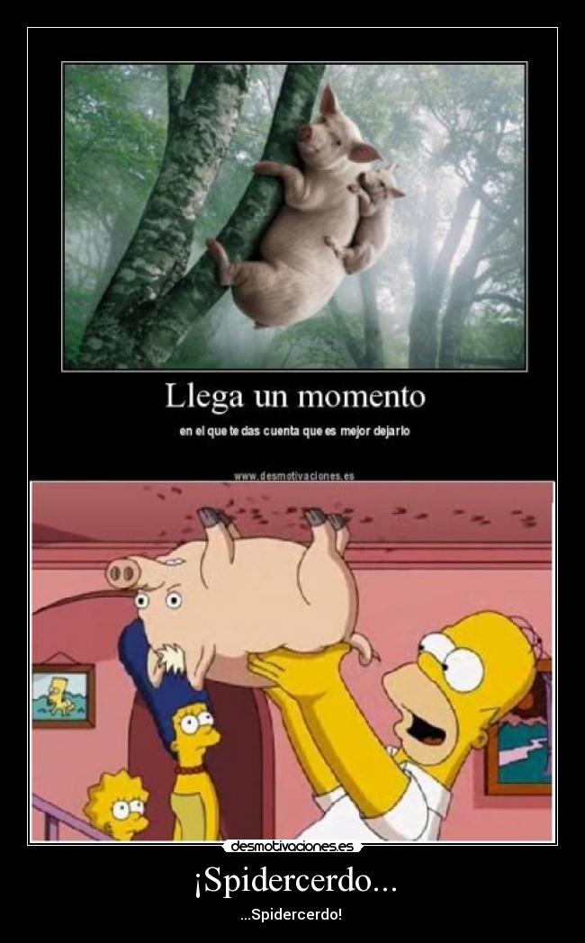 ¡Spidercerdo... - 