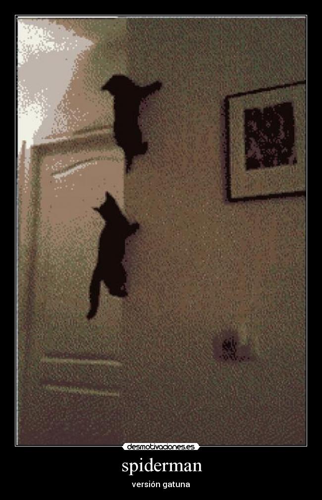 spiderman - versión gatuna