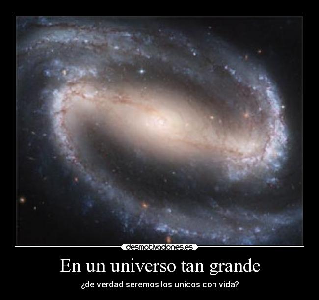 En un universo tan grande - ¿de verdad seremos los unicos con vida?