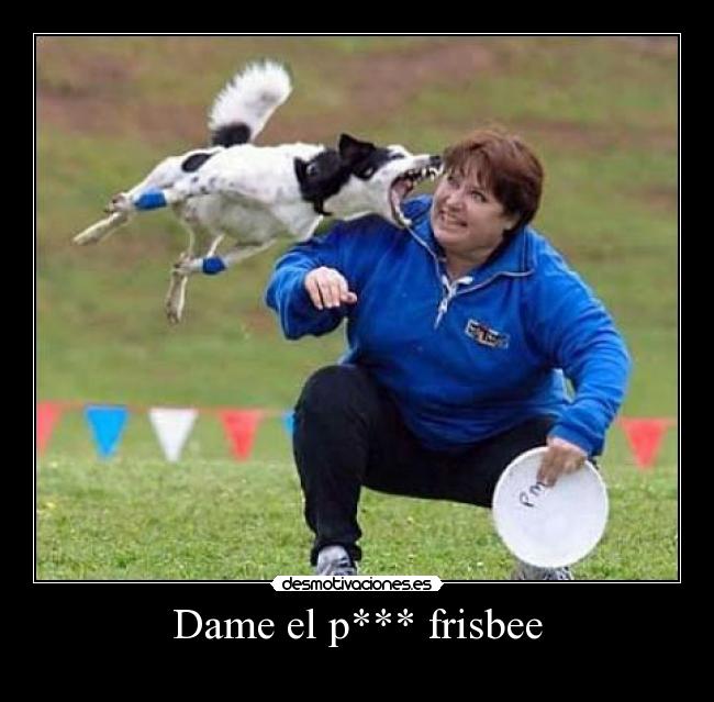 Dame el p*** frisbee -