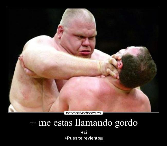 + me estas llamando gordo - +si
+Pues te reviento¡¡¡