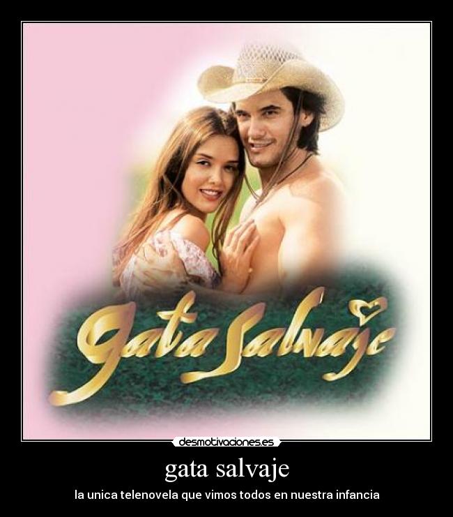 carteles tele desmotivaciones