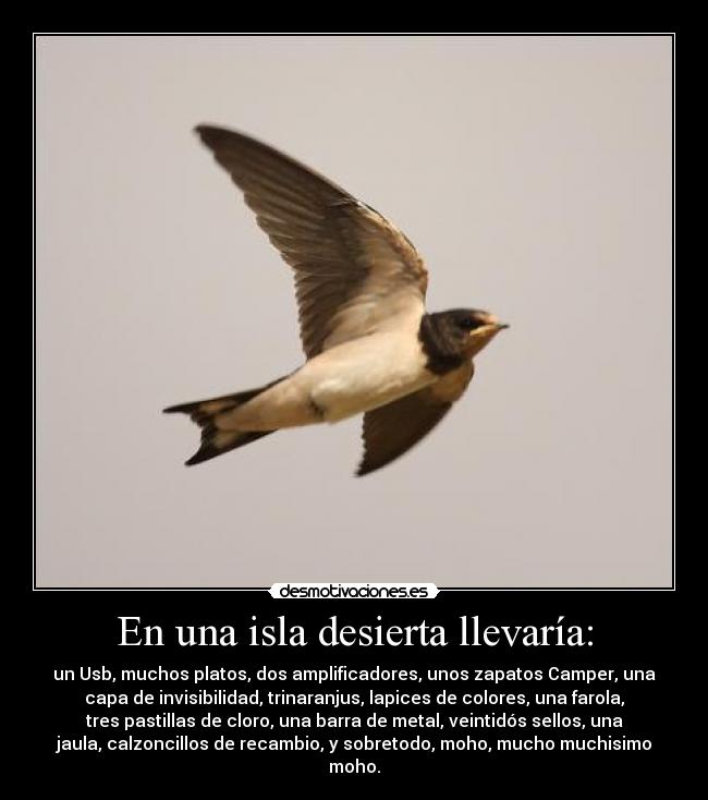 En una isla desierta llevaría: - un Usb, muchos platos, dos amplificadores, unos zapatos Camper, una
capa de invisibilidad, trinaranjus, lapices de colores, una farola,
tres pastillas de cloro, una barra de metal, veintidós sellos, una
jaula, calzoncillos de recambio, y sobretodo, moho, mucho muchisimo
moho.