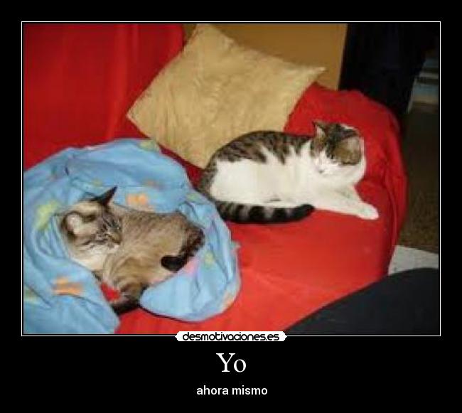 Yo - ahora mismo