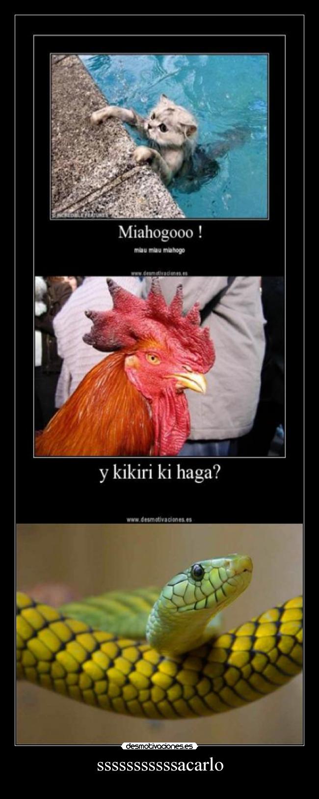 sssssssssssacarlo -