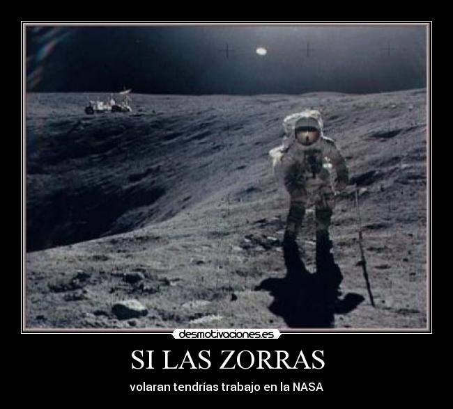 carteles sadasd desmotivaciones