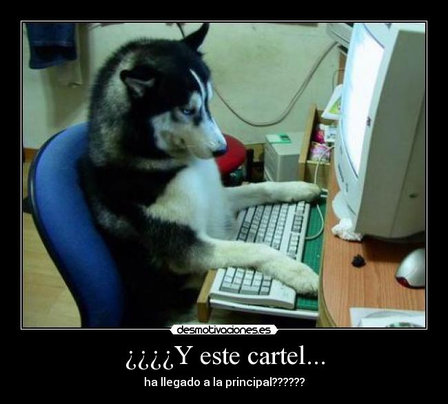 ¿¿¿¿Y este cartel... - 