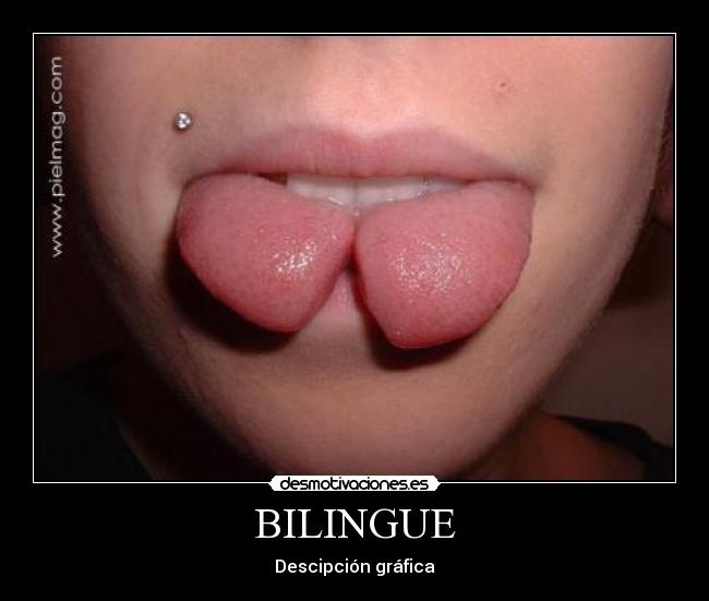 BILINGUE -