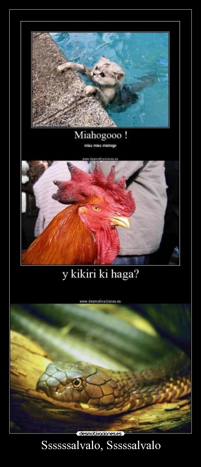 Ssssssalvalo, Sssssalvalo - 