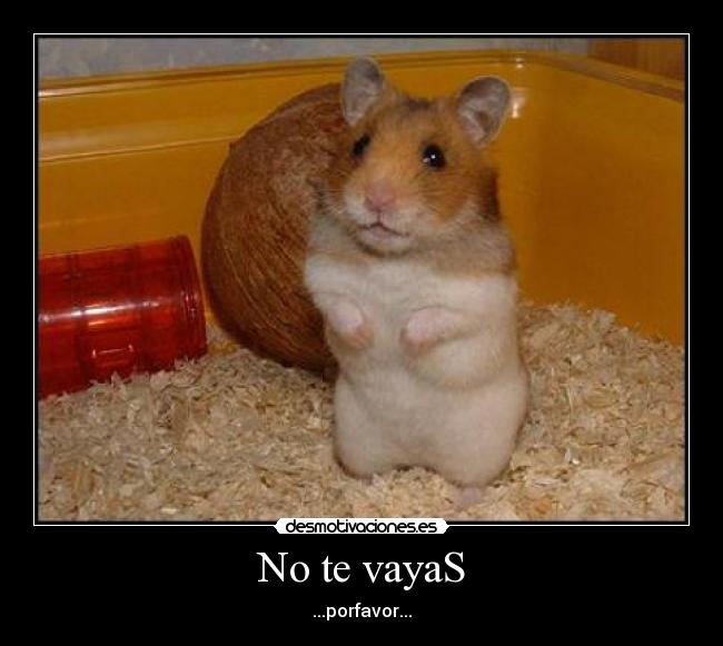 No te vayaS - ...porfavor...