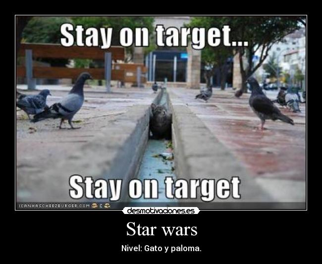 Star wars - Nivel: Gato y paloma.