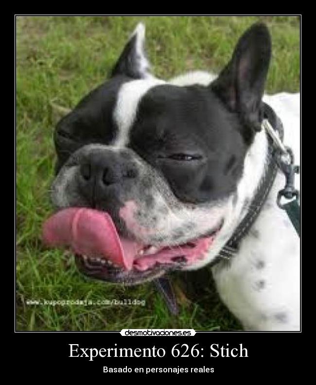 Experimento 626: Stich - Basado en personajes reales