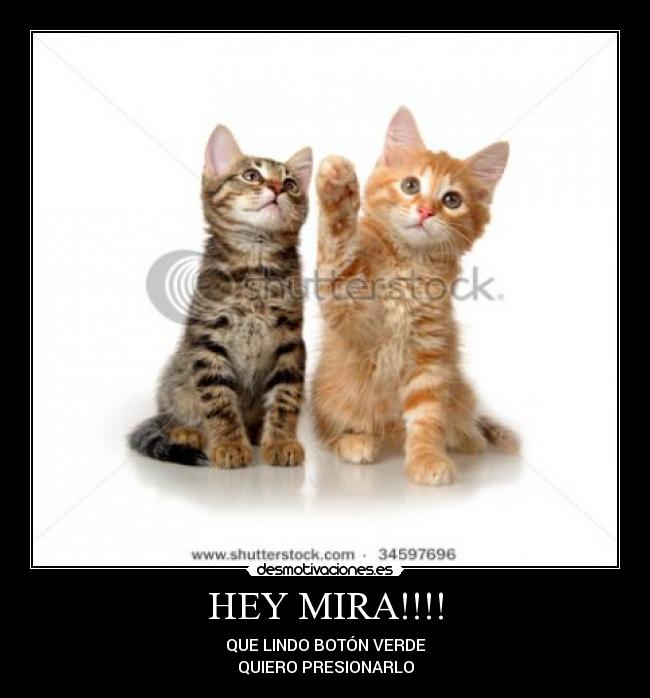 HEY MIRA!!!! - 